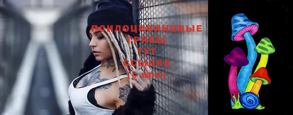 мескалин Новозыбков