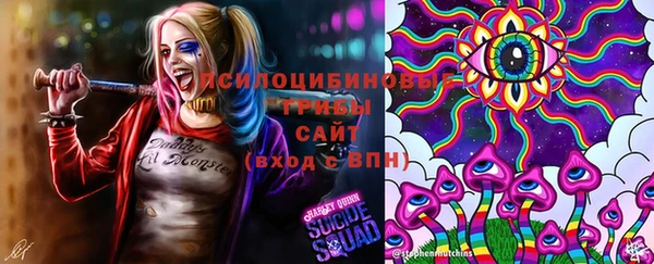 герыч Новокубанск