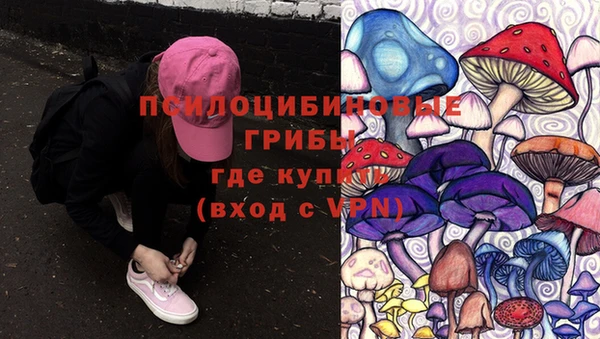 бошки Новодвинск