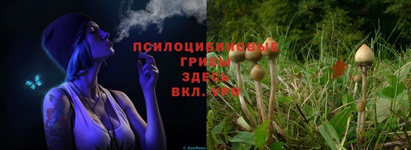 бошки Новодвинск