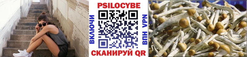 Галлюциногенные грибы мухоморы  Подольск 